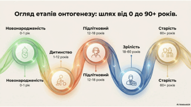 0901rxxr-f4fe-390x220.png