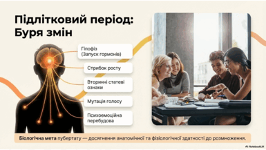 0901rxye-cd36-385x217.png