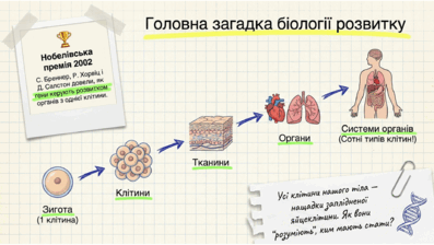 0901ry39-8424-397x224.png