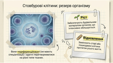 0901ry4b-7fee-385x217.png