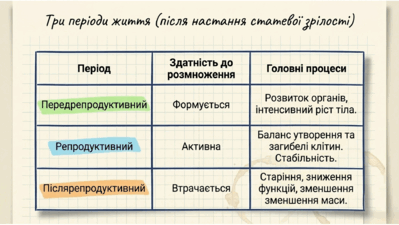 0901ry4e-788a-399x225.png
