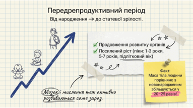 0901ry4q-4778-383x216.png