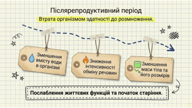 0901ry56-204c-382x215.png