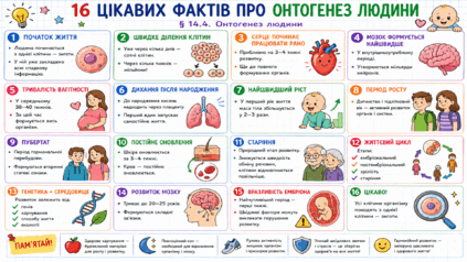 0901ry5x-fd79-423x238.png