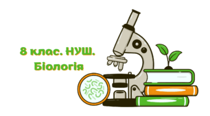 8 клас. Біологія. НУШ. Контрольна робота за рік. ЕКСТЕРНАТ