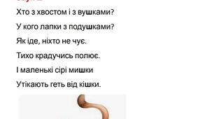 Автоматизація шиплячих звуків [ш ], [ж ], [ ч]: цікаві віршики та загадки з ілюстраціями.