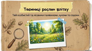 Рослини влітку