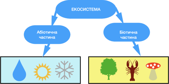 0901s28g-890b-589x293.png