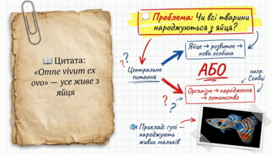 0901s3x0-c4c0-389x219.png
