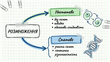 0901s3xk-9e05-382x215.png