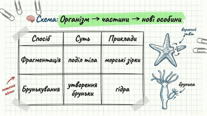 0901s3xq-9cad-421x237.png