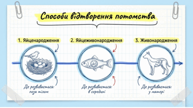 0901s3z3-2478-380x214.png