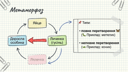 0901s3zx-7abb-428x241.png