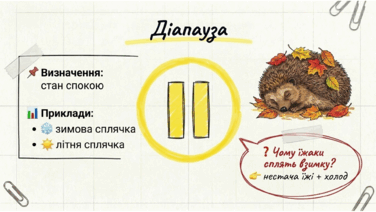 0901s402-0f57-376x212.png