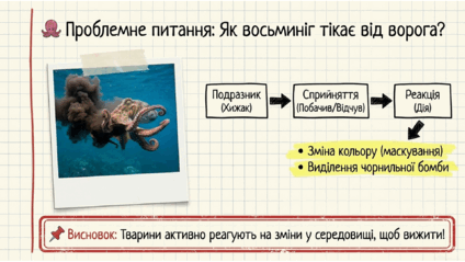 0901s46m-8407-424x239.png