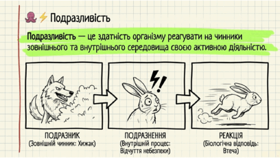 0901s470-7c7d-408x230.png