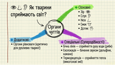 0901s475-c3eb-387x218.png