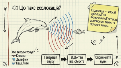 0901s47c-e7cf-422x238.png