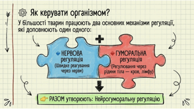 0901s47g-4d67-385x217.png