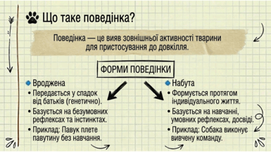0901s47x-c4b6-385x217.png