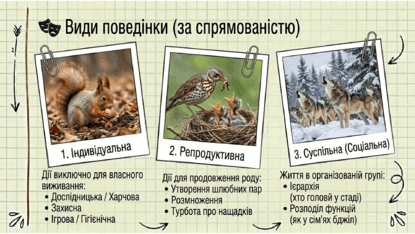 0901s485-24ba-415x234.png