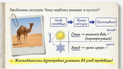 0901s4bo-99c8-396x223.png
