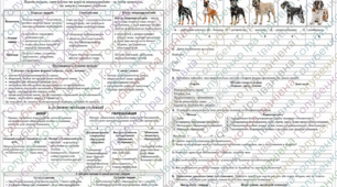 § 62. МЕТОДИ СЕЛЕКЦІЇ