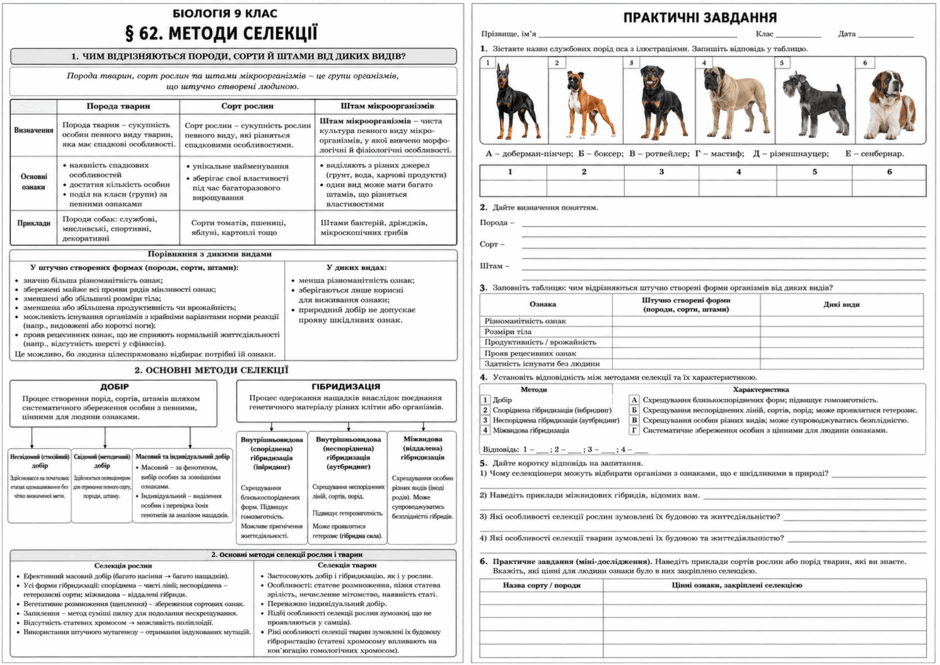 0901s5fk-50d4-940x665.png
