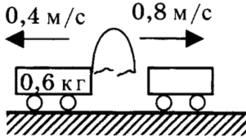 0901s7sl-7039-246x140.png