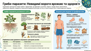 Гриби - паразити