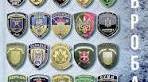 Українське громадянське суспільство в обороні держави. Добровольчі батальйони. Волонтерський рух.