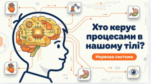 Презентація «Хто керує процесами в нашому тілі?»