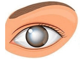 0901sji4-3732-265x195.png