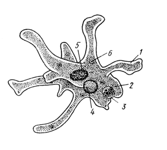 0901sjpd-7d4f-338x305.png