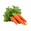 0901skiv-8056-104x104.webp