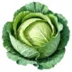 0901skj7-51d3-80x80.webp