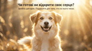 30 квітня – День «Візьміть тварину з притулку»