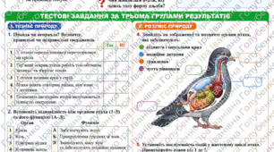 § 55. Птахи: риси пристосованості до польоту. Самостійна робота 2 варіанти. за 3 групами результатів