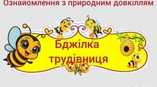 Ознайомлення з природним довкіллям."Бджілка трудівниця"