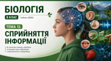 Тема 12. СПРИЙНЯТТЯ ІНФОРМАЦІЇ