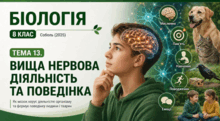 Тема 13. ВИЩА НЕРВОВА ДІЯЛЬНІСТЬ ТА ПОВЕДІНКА