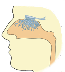 0901sp0h-f744-213x237.png