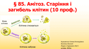§ 85. Амітоз. Старіння і загибель клітин