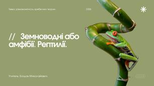 Презентація "Хордові: земноводні або амфібії та рептилії"