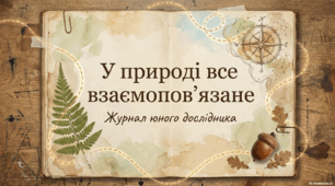У природі все взаємопов’язане