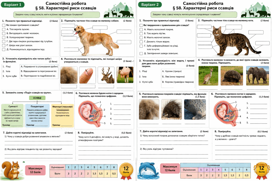 0901steg-5491-940x627.png