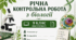 Річна контрольна робота з біології. 9 клас📄🧬 (ЕКСТЕРНАТ)