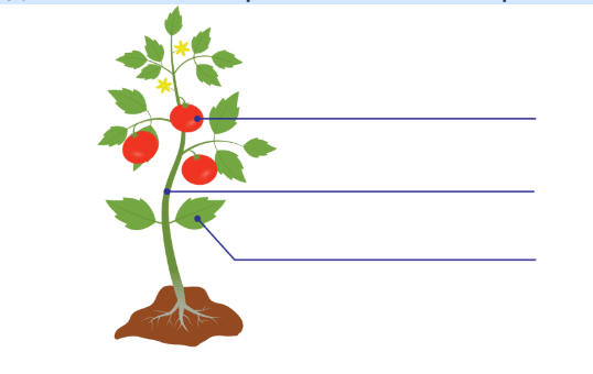 0901sub6-ddc4-538x340.png