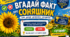 🌻 Інтерактивна гра-презентація «Вгадай факт про соняшник»
