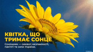 "Соняшник-символ незламності України"